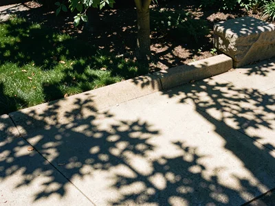 Siesta shadow patterns