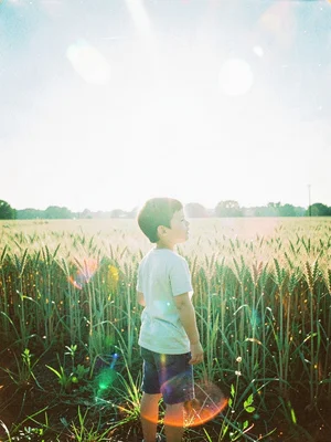Child standing alone at the edge of a wheat field facing away from the camera sq