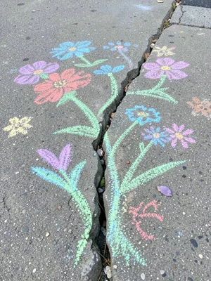 A chalk garden: flowers growing up from a crack in the sidewalk, the real crack 
