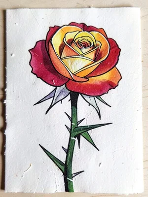 Single rose bloom — petals in graduated reduction passes, thorned stem in the la
