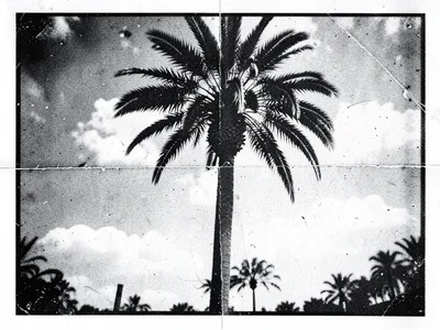Photocopied summer vacation brochure, degraded through generations, palm tree di