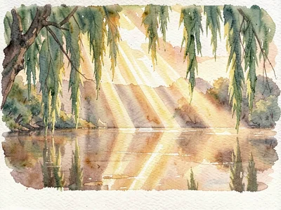 Painterly cypress canopy filters golden hour into a thousand warm shafts that fa