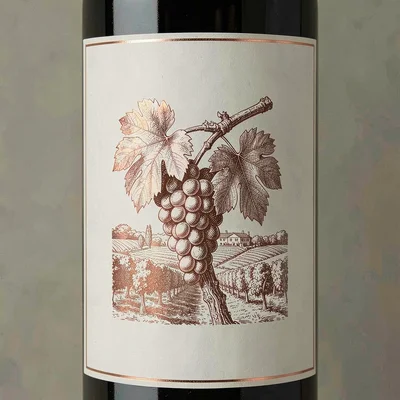 Wine label illustration, Grapevine bunch with detailed leaves , elegant estate s