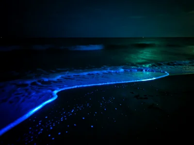 Shore at low tide in bioluminescent bay — long exposure of a dark beach with blu