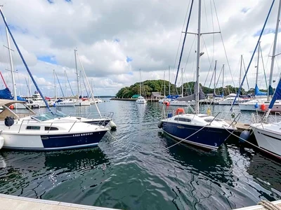 Harbor boats organized