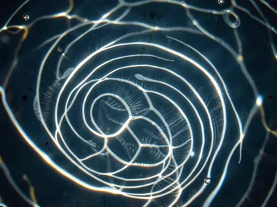 Sharp caustic from small waves