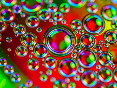 Cooking oil creating festive cells over red and green background, macro