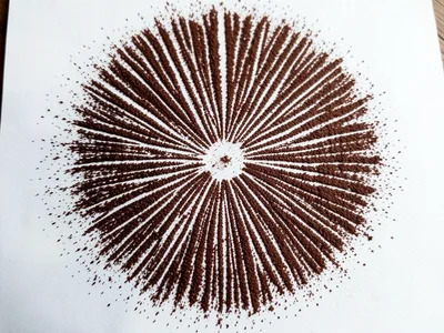 Dark brown spore print on white, dense deposit from mature field mushroom, rich 