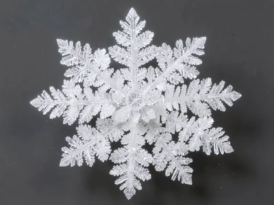 Borax crystal cluster like snowflake structure