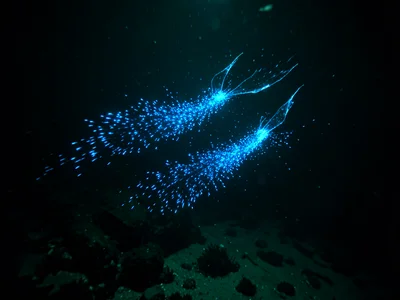 Fins swimming through bioluminescent water — pair of underwater fins trailing bl