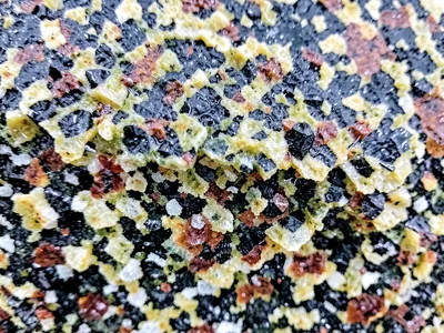 Rain-wet granite showing crystal detail