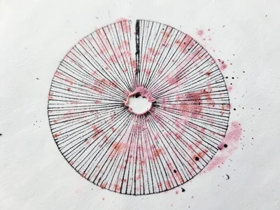 Spore print with partial veil interference, broken ring of heavier deposit where