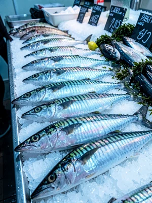 Row of Mackerel Pattern