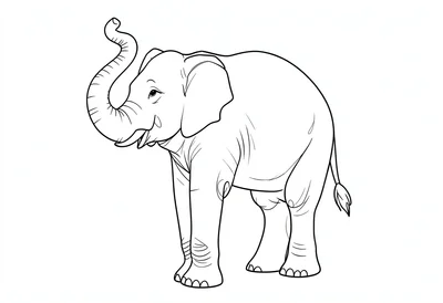 Elephant trunk raised continuous line