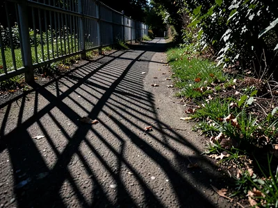 Shadow of fence on path