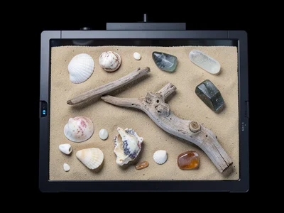 Summer beach finds arranged on scanner, shells, sea glass, driftwood, sand