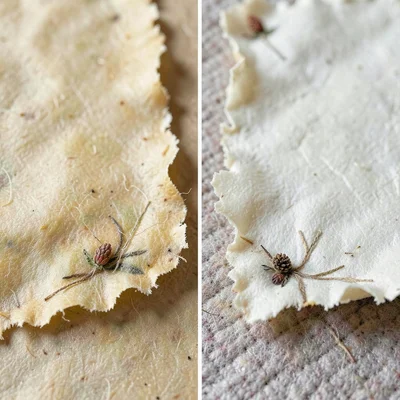 A close-up of two handmade paper sheets side by side — colour and texture compar