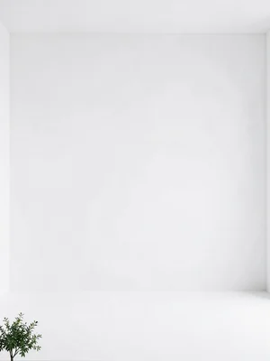 Small plant at bottom corner of enormous white minimalist interior