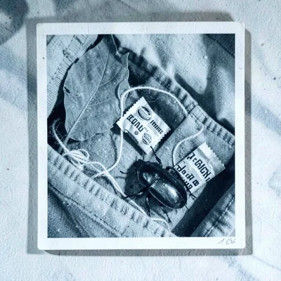 Contents of a child's pocket - leaf, string, candy wrapper, dead beetle - archiv