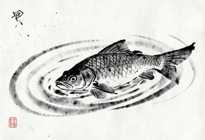 Swimming carp sumi-e