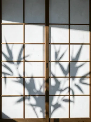 The shadow of bamboo leaves on a white shoji screen, actual plant not visible