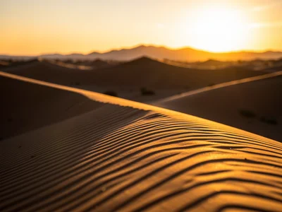 Desert sand dunes at sunset, long shadows creating wave-like patterns