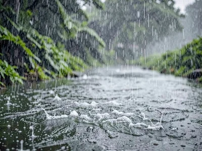 Monsoon beginning first drops