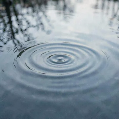 Organic story-card of a slow ripple across a still water surface, calm dusty blu