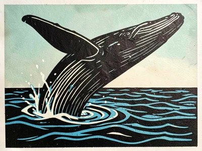 Breaching whale