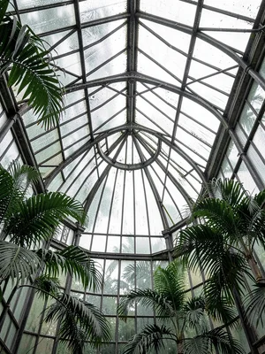 Palm House