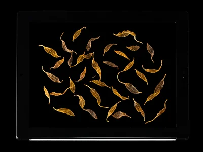 Tea leaves scattered across scanner glass, dried twisted leaves backlit showing 
