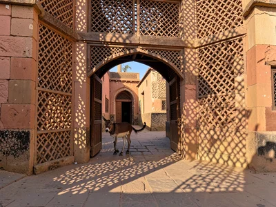 Afternoon sun through mashrabiya lattice in Lamu, Kenya, Donkey passing through 