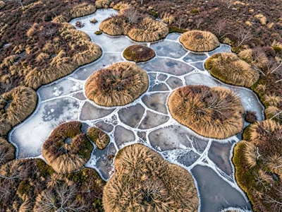 Frozen bog surface showing ice patterns between hummocks