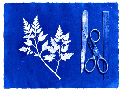 Sun-printed arrangement of school supplies, scissors, rulers, Prussian blue