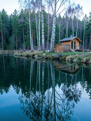 Finnish lake mirror, dead-calm reflection, stacked firewood beside a lakeside sa