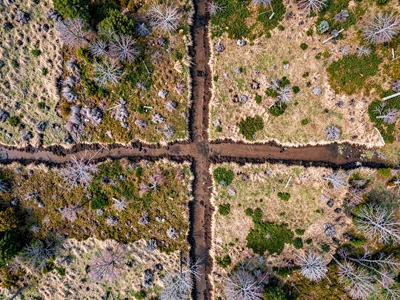 Peat cutting scars visible as dark rectangles from above
