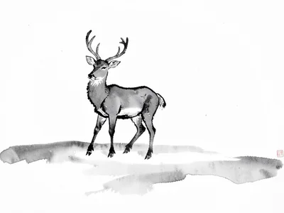 Deer standing still in snow, soft grey wash for the snowy ground