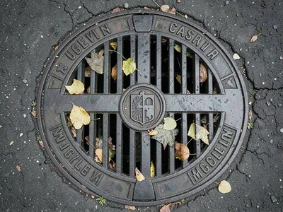 Storm Drain Slot Grate with Wet Leaf