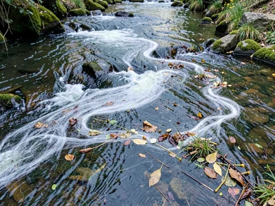 Floating debris tracing current invisible