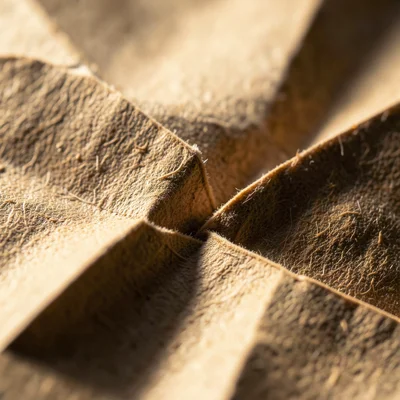 Extreme macro of paper failure at an overworked fold, fibers tearing and separat