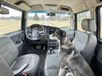 Greyhound bus interior