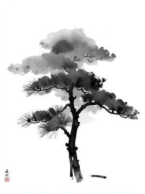 Pine tree in fog, only the lower trunk dark, the canopy dissolving
