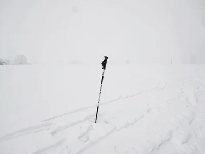 Single ski pole planted in white expanse