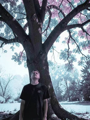 Tree portrait infrared