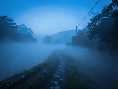 Path descending into fog becoming suggestion then nothing