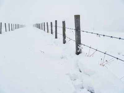 Fence posts measuring snow depth in row