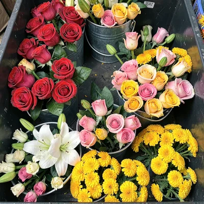 Florist cooler packed with buckets of roses, lilies, marigolds, chrysanthemums o