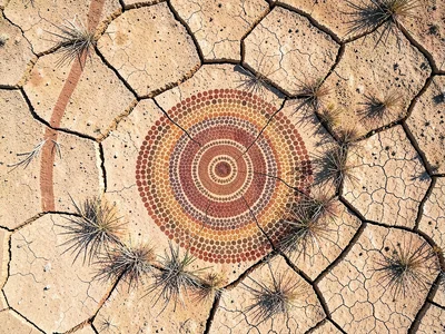 Dry lake bed cracked into polygon tiles from above, sparse dead grass at fissure