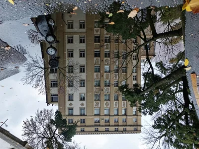 Building facade reflected in puddle