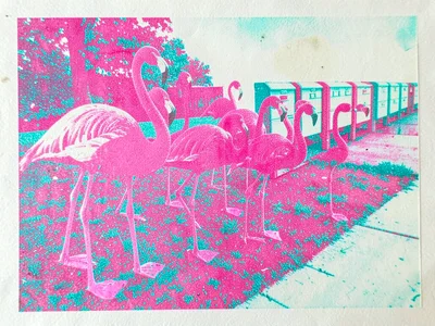 Pink plastic flamingos clustered on a thin patchy lawn beside a row of mailboxes